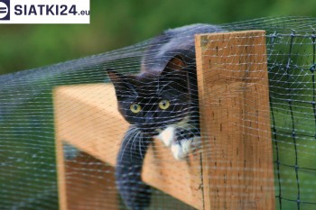 Siatki Sieradz - Dobra siatka balkonowa - na ptaki i dla kota dla terenów Sieradza