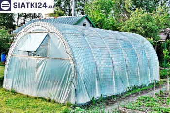Siatki Sieradz - Odporna na wiatr folia ochronna dla upraw warzywnych w tunelach dla terenów Sieradza
